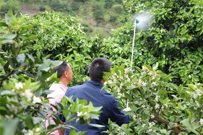 云阳农业政策解读：助力农民增收新路径