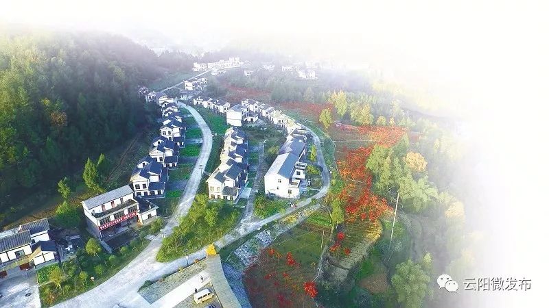 云阳农产品价格走势观察