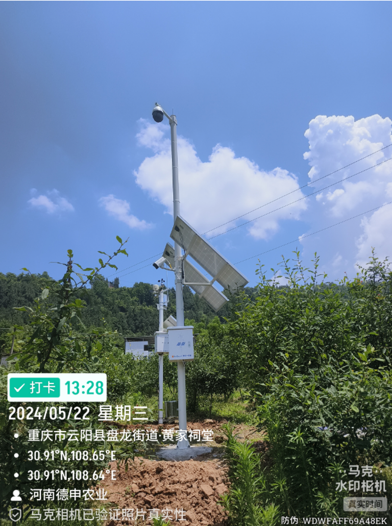 云阳农业网:洞察行业新趋势