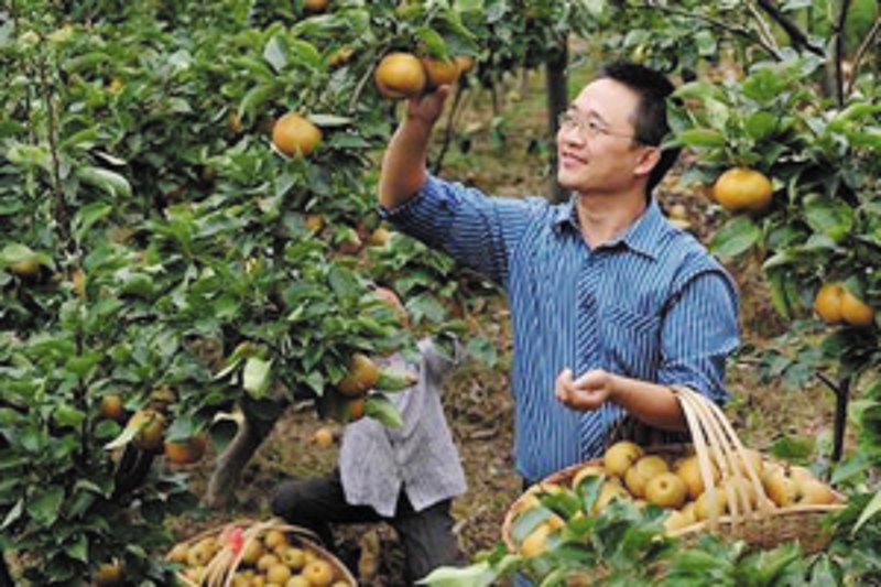农业资讯一网打尽——云阳县农业信息网”，带你洞察未来趋势