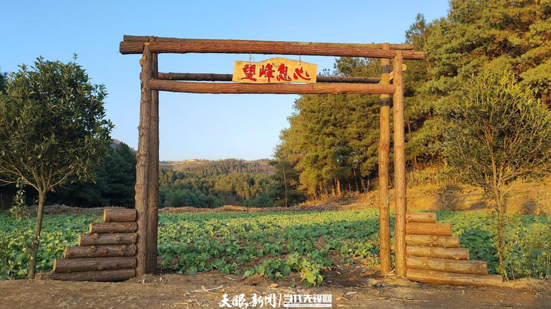 云阳农业信息网